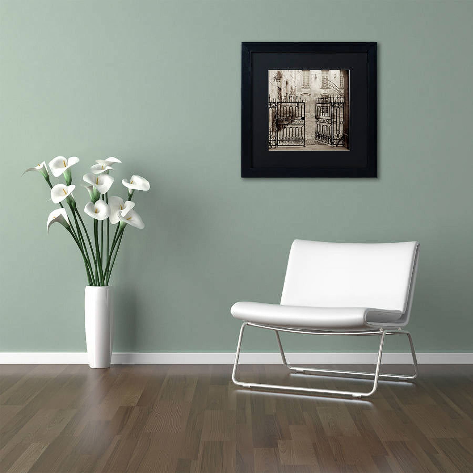 Trademark Fine Art "Avignon II" Canvas Art by Alan Blaustein, Black Matte, Black Frame