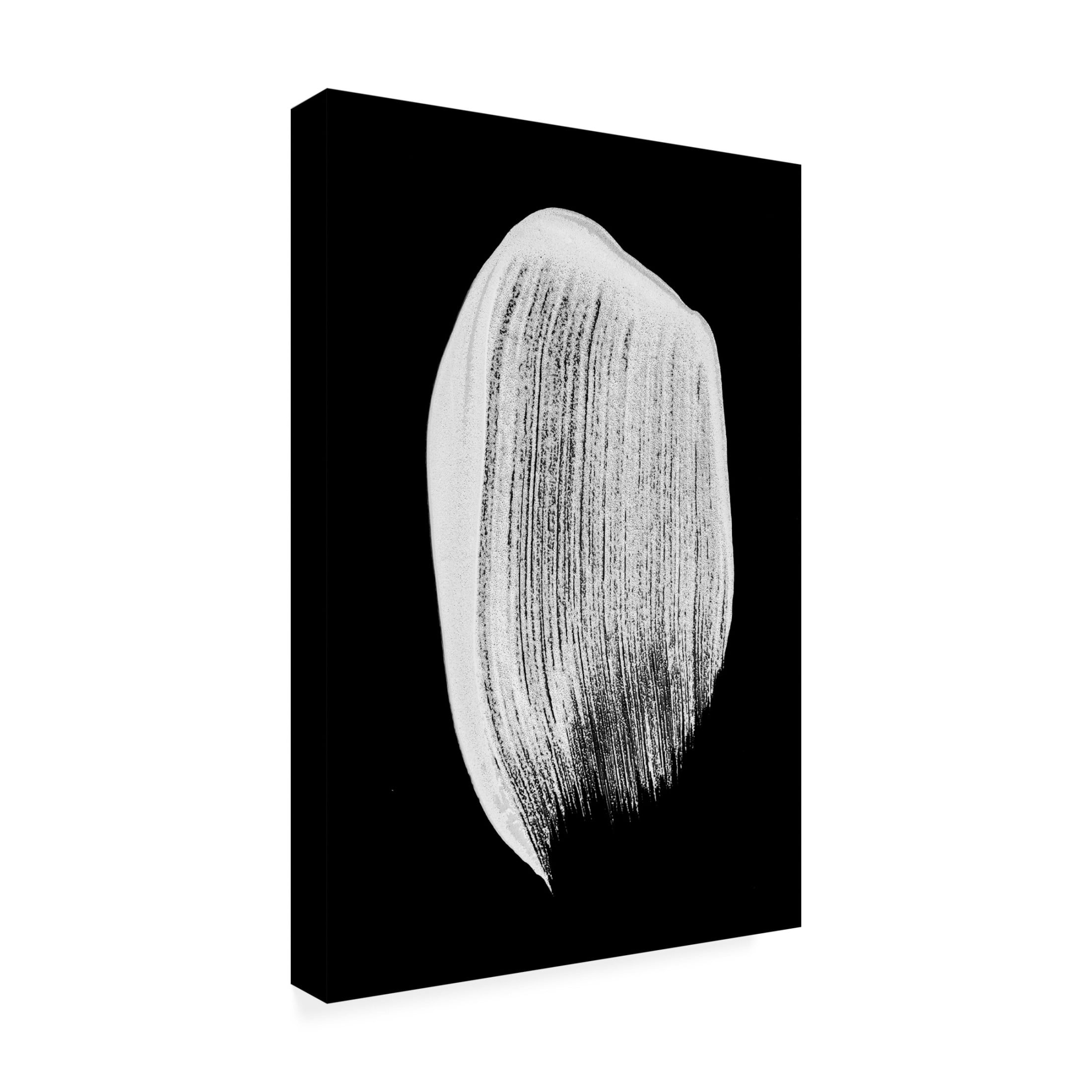 Trademark Fine Art Shot by Clint Minimalism 03 Canvas Wall Art