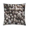 thumbnail image 2 of Ahgly Company Foods Nuts Outdoor Throw Pillow, 18 inch by 18 inch, 2 of 6