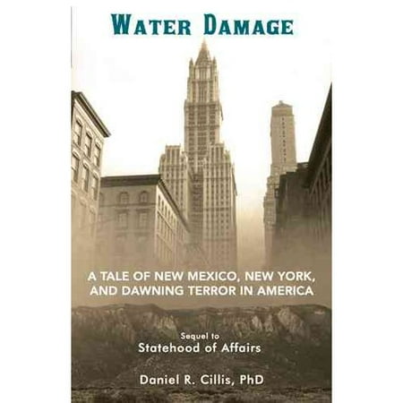 Water Damage: A Tale of New Mexico, New York, and Dawning Terror in America