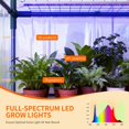 thumbnail image 6 of Mophoto Indoor Greenhouse with Grow Light,4-Tier Mini Greenhouse 56.3"x28.7"x76.8" PVC Cover with Timer Dimmable Plant Light for Indoor Plants Seed Starting Trays, 6 of 9