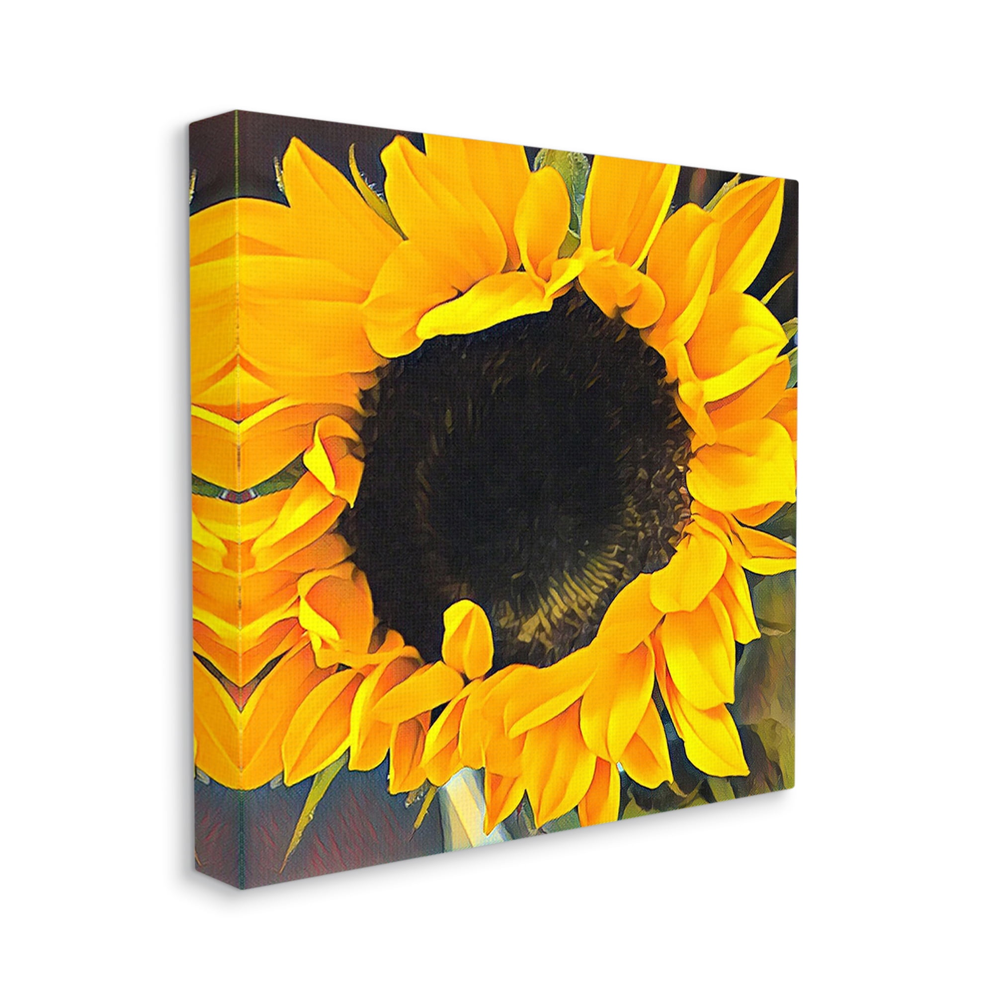 Stupell Industries Bold Yellow Summertime Sunflower Close Up Blossom Graphic Art Gallery Wrapped Canvas Print Wall Art, Design by unknown