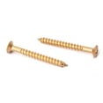 thumbnail image 3 of MasteelfCA 4pcs Guitar Neck Plate Screws For Guitar Neck Plate Mounting Screws (Gold, 3 of 6