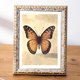 thumbnail image 2 of Vintage Picture Frame, Decorative Wall Hanging and Tabletop Display Photo Frame White 5in, 2 of 5