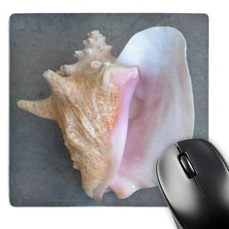 3dRose  Conch Shell  MousePad price history on PriceWatchPro