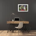thumbnail image 3 of Paulson, Don 32x23 White Modern Wood Framed Museum Art Print Titled - Bird houses and planter on garden table, 3 of 4