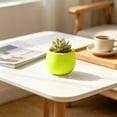 thumbnail image 5 of Round Mini Plastic Succulent Planter Pot, Colorful Small Desktop Flower Container, Lightweight Nursery Plant Pot For Cactus, Herb, Bonsai, Ideal For Home, Office, Balcony And Indoor Desktop Decor, 5 of 6