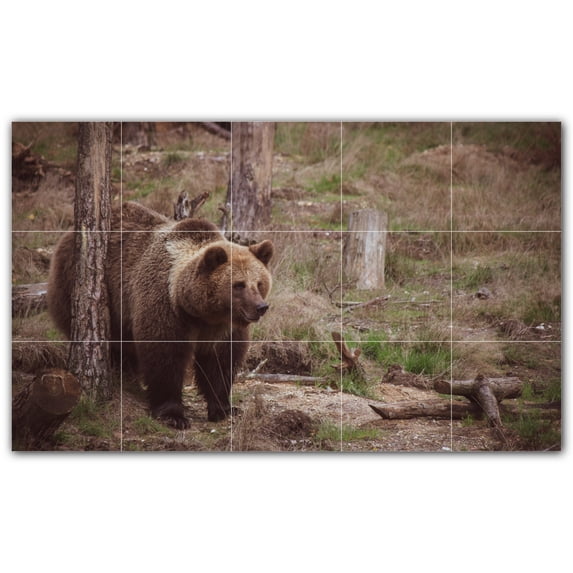 Picture-Tiles.com: Bear Ceramic Tile Wall Mural WAL500130-53XL. 60"W x 36"H using (15) 12" x 12" Ceramic Tiles-Satin Finish