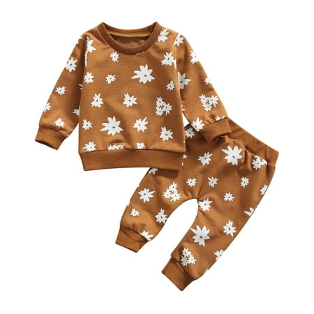 

Fanvereka Baby Girls Autumn Flower Print Outfits Casual Long Sleeve Round Neck Pullover Trousers Set