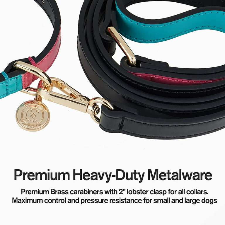 NexaPaw 6ft Biothane Dog Leash - Extra Heavy Duty, Waterproof, With Brass Carabiner For All Dog Sizes (Teal)