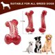 thumbnail image 3 of Juguetes para masticar para perros duraderos, juguetes para perros grandes, masticadores agresivos, limpieza de dientes de goma Natural resistente, huesos para masticar, 3 of 5