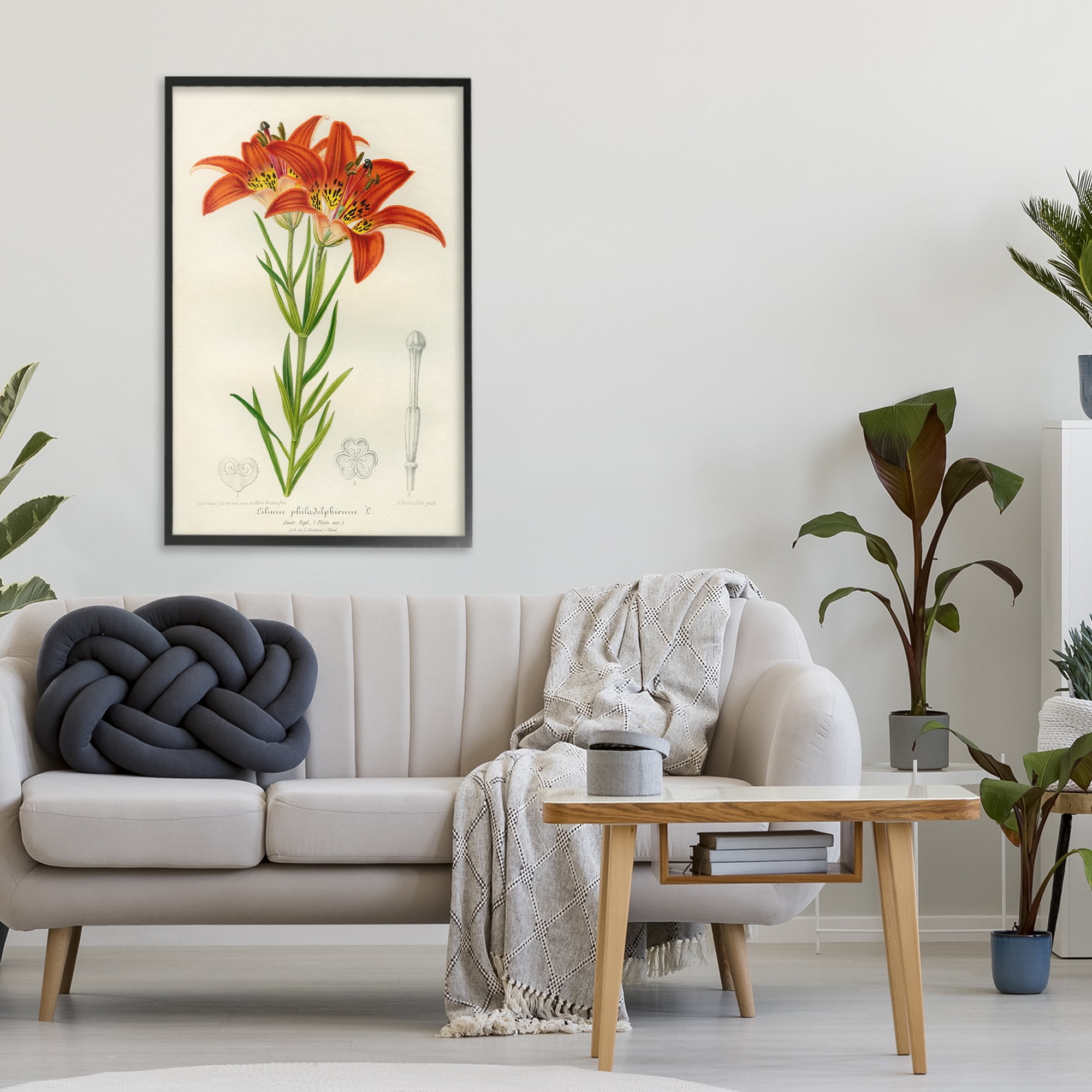 Stupell Industries Western Red Lily Black Framed Giclee Art, design by Print Collection
