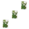 thumbnail image 2 of sweethay Hojas secas naturales Plantas en relieve hechas a mano Hojas prensadas Adorno Postal Regalos para tarjetas de boda de resina Type4 NO4, 2 of 6