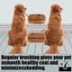 thumbnail image 3 of Cepillo Quita Pelo de Mascotas con Manguera y Adaptador Dyson V15 V12 V11 V10 V8 V7 Accesorios para, 3 of 7
