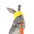 thumbnail image 2 of Mini Sombrero de mascotas Bunny Hat Sombrero Pequeño Animales Sombrero Mini Cubierta de cabeza para mascotas Accesorio de disfraces para mascotas, 2 of 7