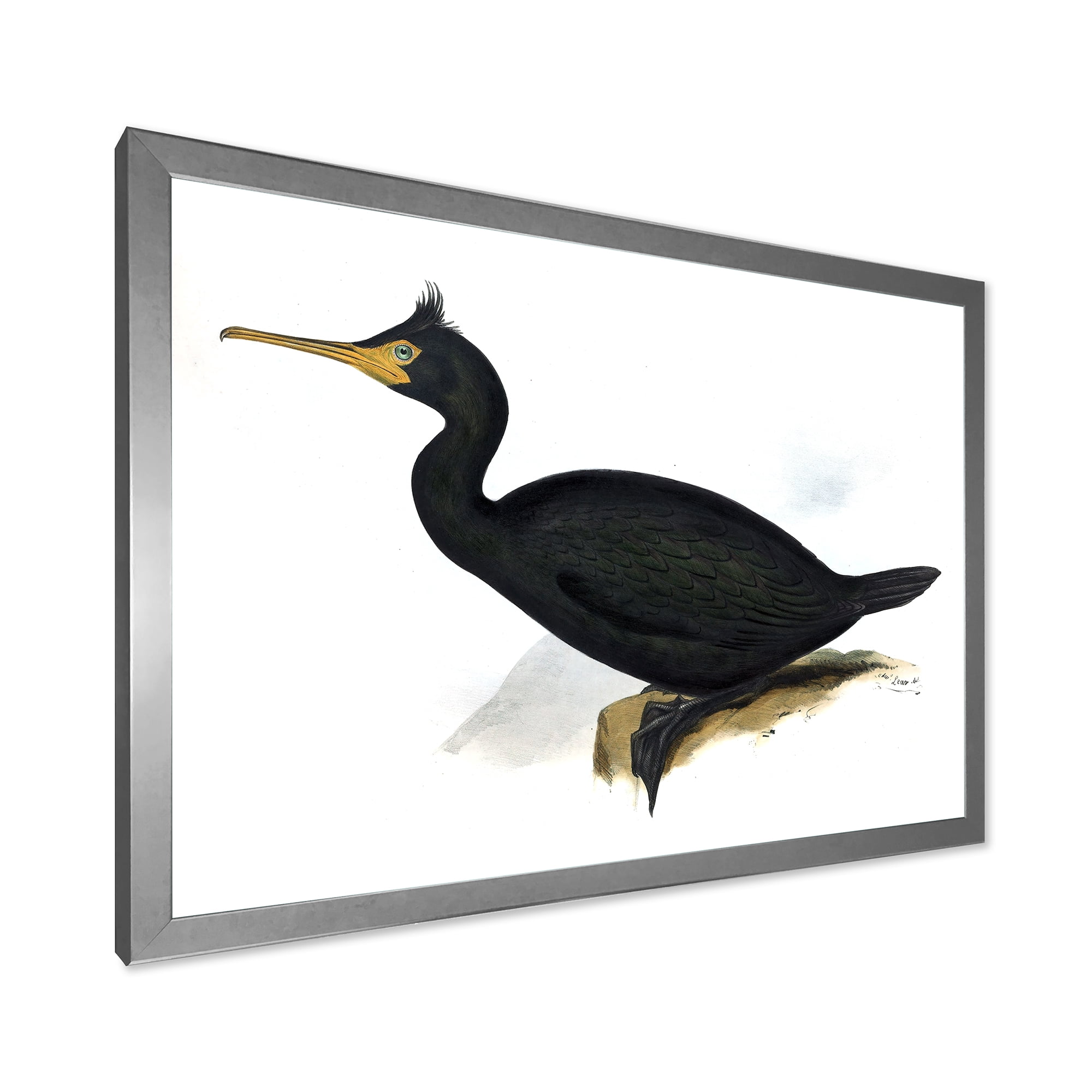 Designart 'Ancient Bird Life IV' Traditional Framed Art Print