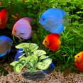 thumbnail image 3 of IFANLANDOR 1 Set Aquarium Artificial Plant Goldfish Plant Plastic Simulation Style Fish Keeping, 3 of 4