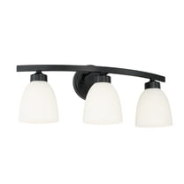 Capital Lighting 114331-333 Jameson 3 Light 21" Wide Bathroom Vanity Light - Black