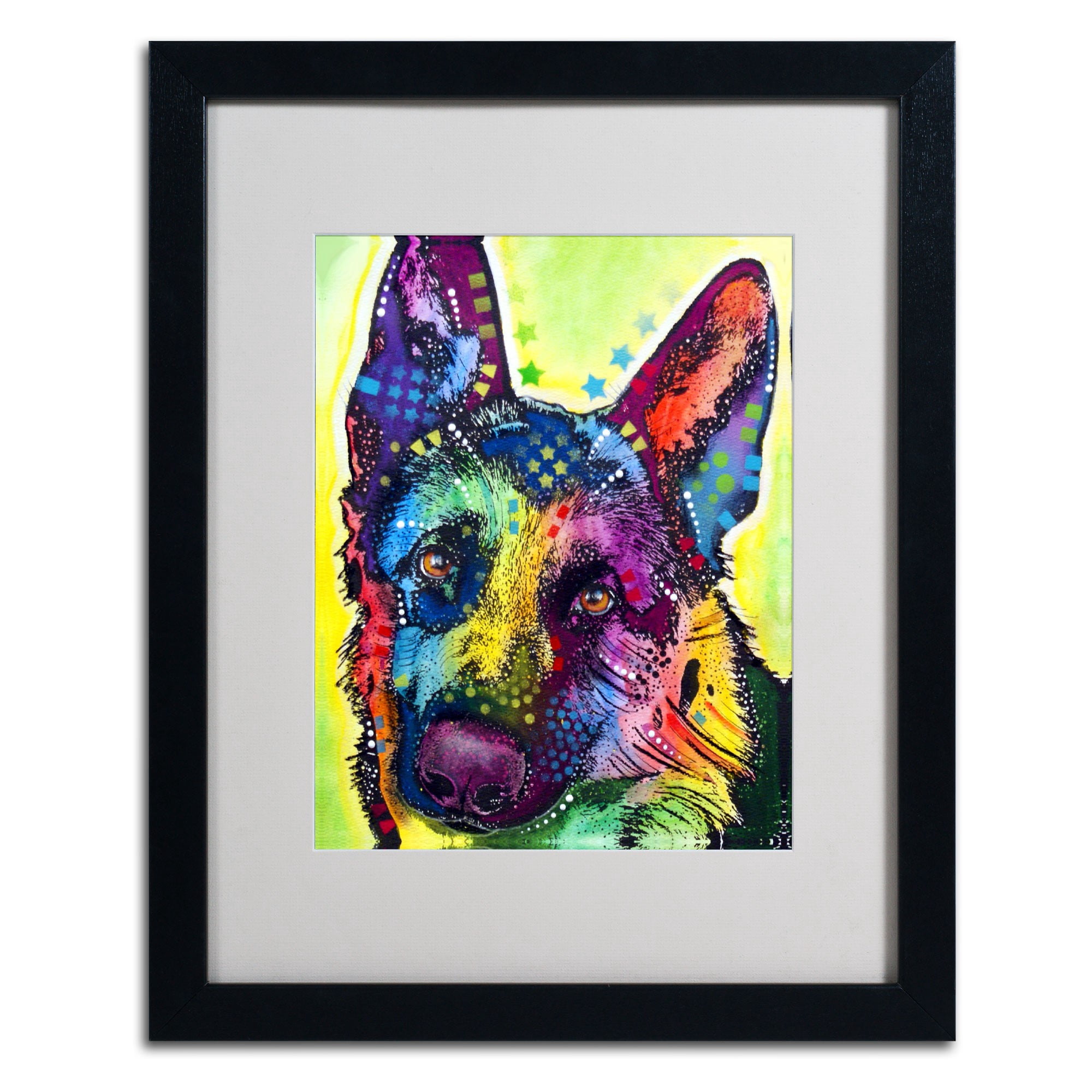 Matted art under acrylic in a black frame