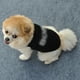 thumbnail image 5 of Mascota Ropa Chaleco Perro Ropa de Verano Poliéster Transpirable Teddy Bear Ropa, 5 of 5