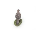 thumbnail image 2 of Mourning Dove on grass Garden Statue, 2 of 5