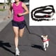 thumbnail image 5 of nailon duradero con cinturón ajustable para correr, caminar y hacer senderismo, 5 of 5