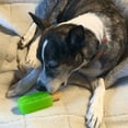 thumbnail image 2 of Cool Pup Cooling Green Popsicle Dog Toy- Mini, 2 of 4