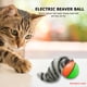 thumbnail image 4 of Pelota Rodante Eléctrica para Castor y Hurón, Ideal para la Interacción Entre Perros y Gatos, Ideal para Entrenamiento Aleatorio de Agilidad ., 4 of 7