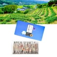 thumbnail image 1 of Chicory Gardenia Tea, Lily Mulberry Leaf Tea Mellow Taste Independent Tea Bag For Travel ANGGREK Otros, 1 of 8