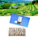 thumbnail image 4 of Té de achicoria y gardenia, té de raíz de magnolia, lirio, hoja de morera, combinación de té para conservar la salud, 180g, 4 of 5