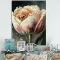 thumbnail image 2 of Designart Blooming Tulip Flowers Watercolor II Canvas Wall Art, 2 of 5