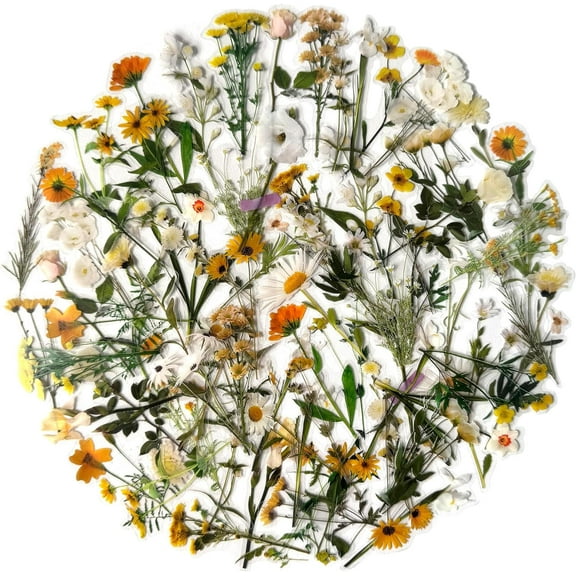80 Pieces Natural Vintage Flower Stickers, Self-Adhesive Transparent Flower Decals for Scrapbooking Supplies, Waterproof Nature Floral Clear Stickers for Adult Card Making Letters DIY