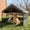 Dark Gray with Breathable Mesh Windows, variant on Dog Tent House Outdoor Shade 4'x4'x3' Shelter for Large Medium Pets,Outside Sun Rain Waterproof Canopy with Three-Sided Breathable Mesh Windows,Livestock House with Ground Nails,Dark Gray