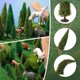 thumbnail image 3 of Model Trees Skylety, 35 unidades, paisaje de tren verde, 3 of 6