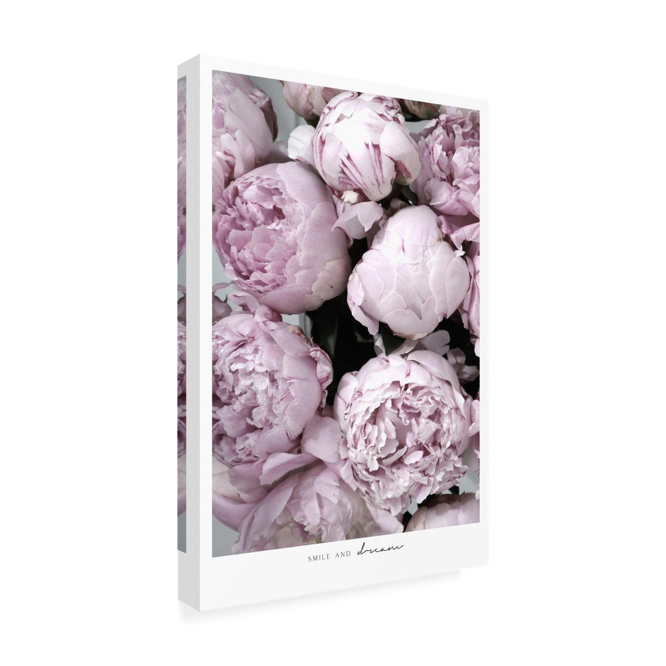 Trademark Fine Art Rosana Laiz Blursbyai Smile and dream peonies Canvas Wall Art