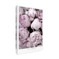 thumbnail image 2 of Trademark Fine Art Rosana Laiz Blursbyai Smile and dream peonies Canvas Wall Art, 2 of 4