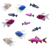 GloFish� 20G Moonlight LF Tetra-Danio-Shark 12ct Live Fish Assortment