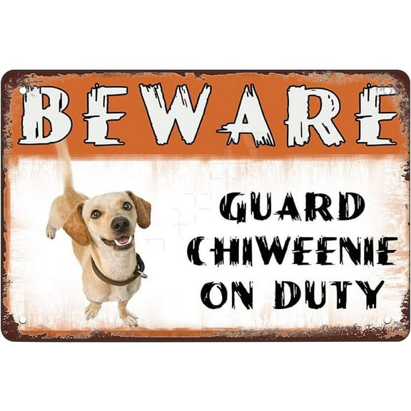 8 x 12 in Metal Tin Sign - Beware Guard Chiweenie Dog On Duty Metal Tin Sign Warning Sign Safety Signs For Home Outdoor Garden 8x12 Inches