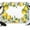 Yellow, variant on 7x5ft Photo Backdrop, Summer Lemons Soft Polyester Backdrop Curtains Photography Backdrops, Fruits White Flowers Vintage Rustic Brushed Background for Photoshoots Studio Video Portrait Parties