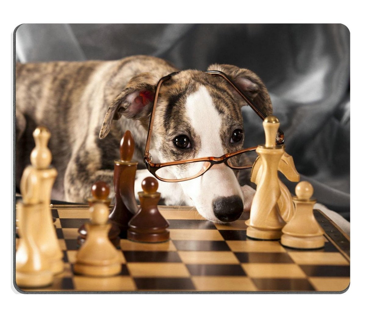 Dog Playing Chess