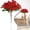 Red-1, variant on ZFSBZBS Artificial Flowers for Home Decor, No Fade Faux Flowers Fake Plastic Plants for Decoration Hanging Planters Indoor Outside Garden Porch Window Box,Red