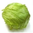 thumbnail image 1 of 3000 *SEEDS - Iceberg Lettuce - Lactuca Sativa Vegetable Seeds, 1 of 2