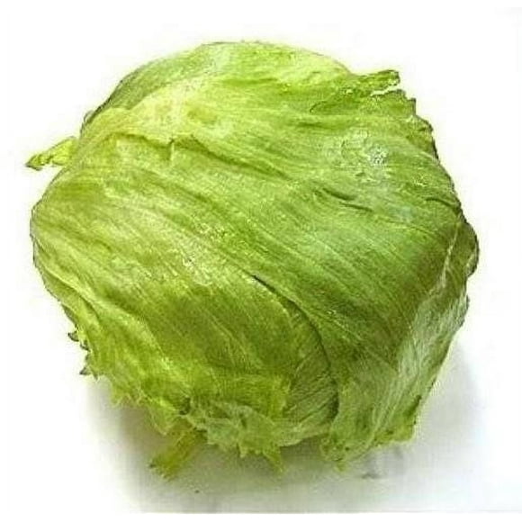 3000 *SEEDS - Iceberg Lettuce - Lactuca Sativa Vegetable Seeds
