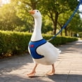 thumbnail image 5 of Breathable Poultry Chest Harness Leash Set Adjustable Mesh Chicken Duck Goose Walking Strap Outdoor Training Safety 2 Pack(S), 5 of 8