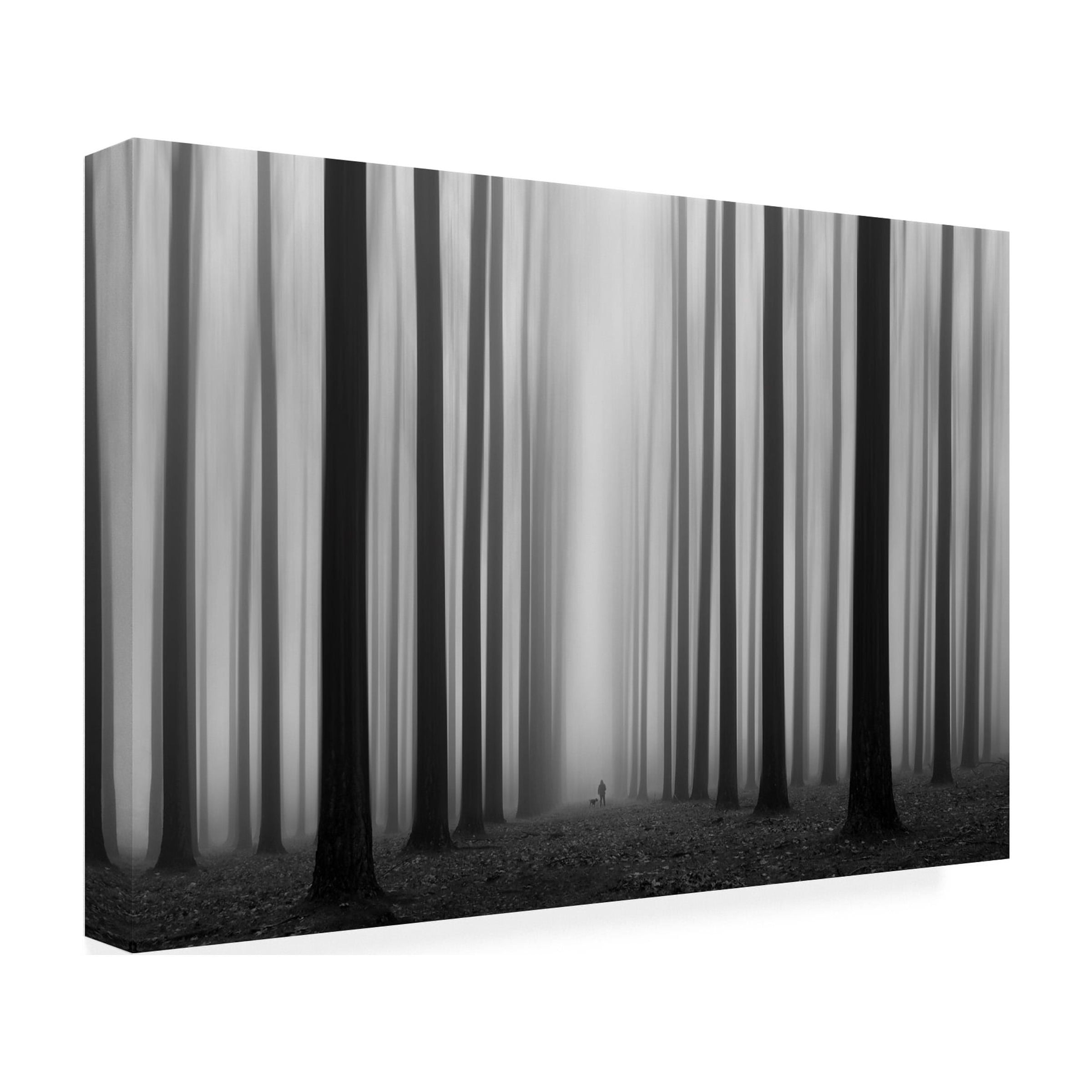 Jochen Bongaerts 'Labyrinth' Canvas Art