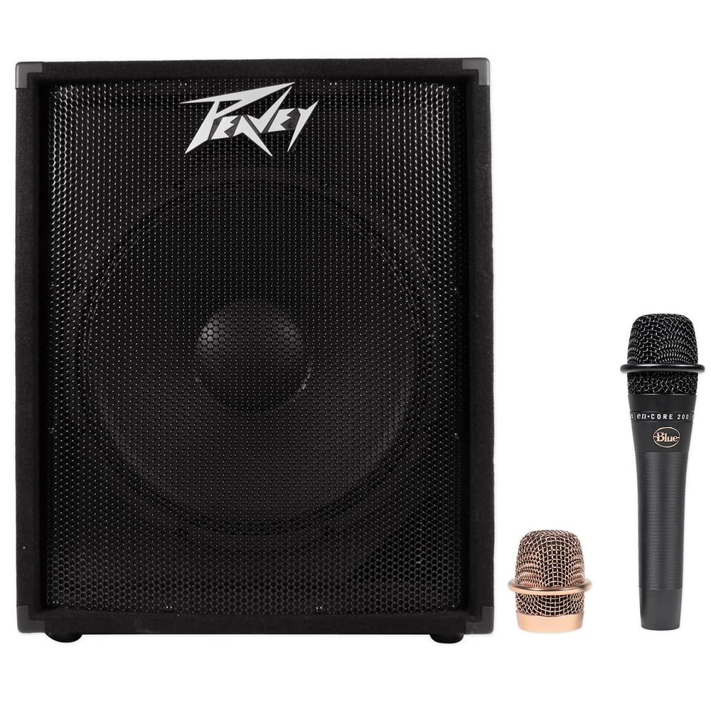 Peavey PV 118D 18" 300 Watt Powered Subwoofer Class D Active Sub PV118D