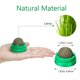 thumbnail image 5 of 4 piezas Bolas de hierba gatera para gatos de interior, bolas de hierba gatera autoadhesivas giratorias, comestibles, para lamer, 5 of 5