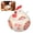 Red, variant on FKSZLL Ceramic Salt Cellar with Lid and Spoon 13 OZ Large Chicken Shape Salt Jar Holder for Counter Coffee Sugar Spice and Candy Container for Countertop,Green