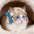 thumbnail image 1 of BotaniNest Funny Cat Cosplay Headwear Apparel Cat Dress Up For Parties Festivals For Small Medium And Large, 1 of 3