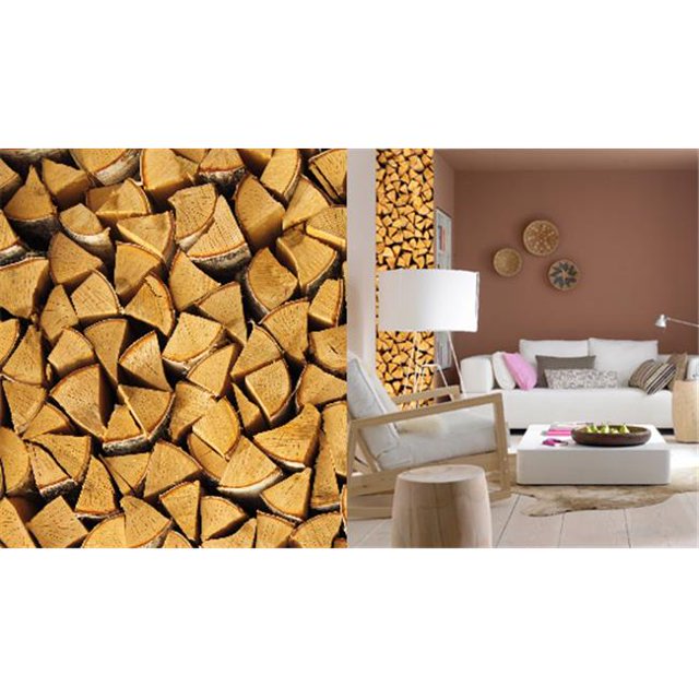 Wizard & Genius DM74500 Stickers Muraux en Bois